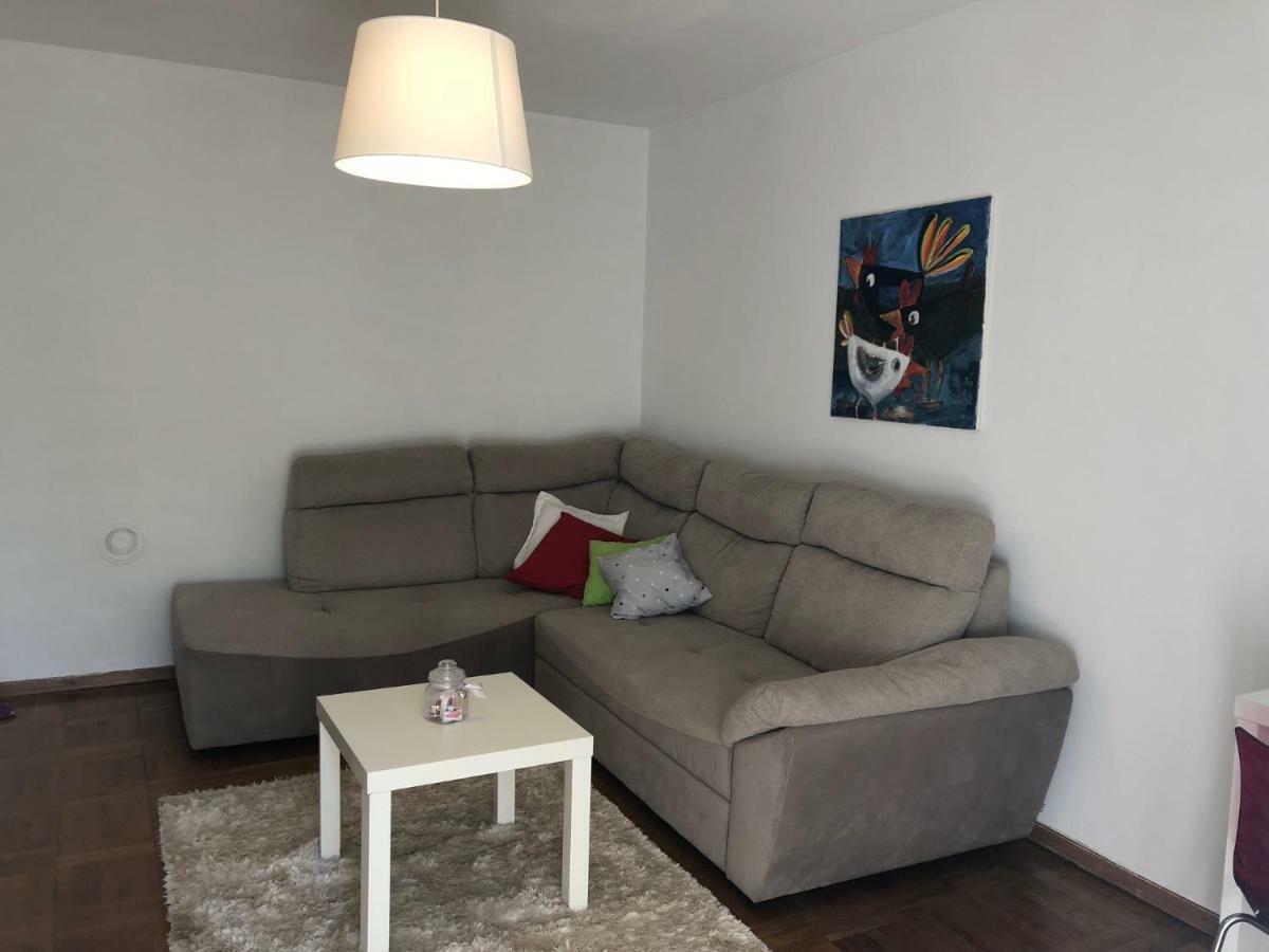 Novigrad Istria Apartment Safran מראה חיצוני תמונה