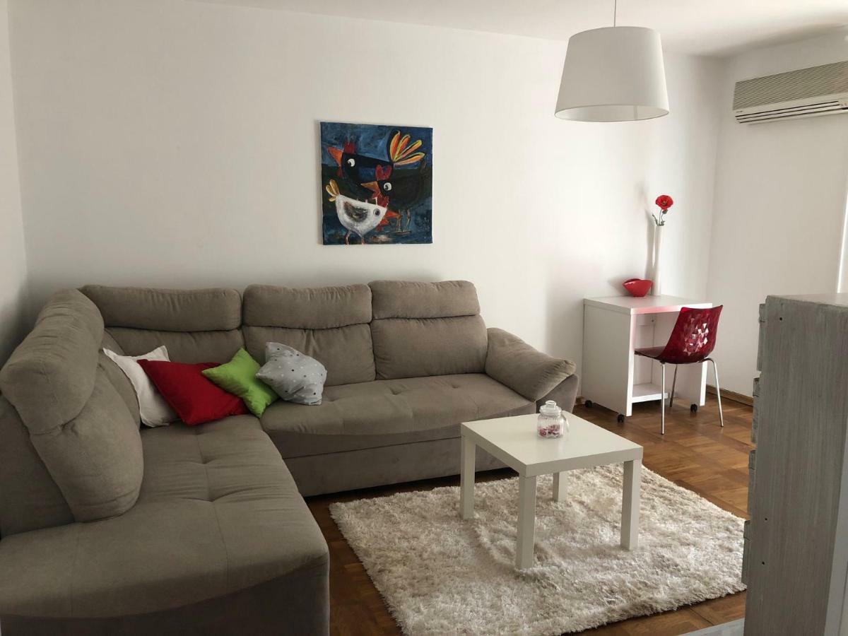 Novigrad Istria Apartment Safran מראה חיצוני תמונה